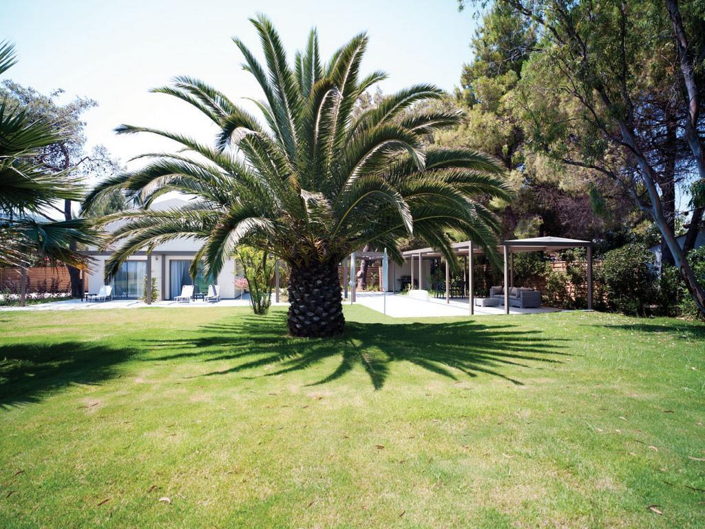 Tiamo Secrets - Palm Garden Villa Vourvourou Exterior photo